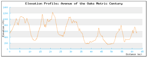 Ave of the Oaks Century elevation chart.